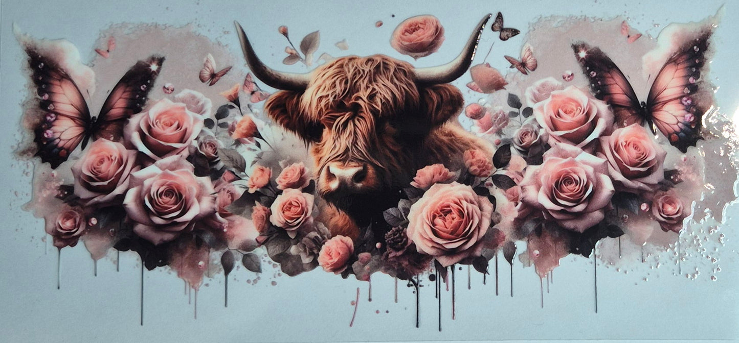 Highland Cow 5 Country