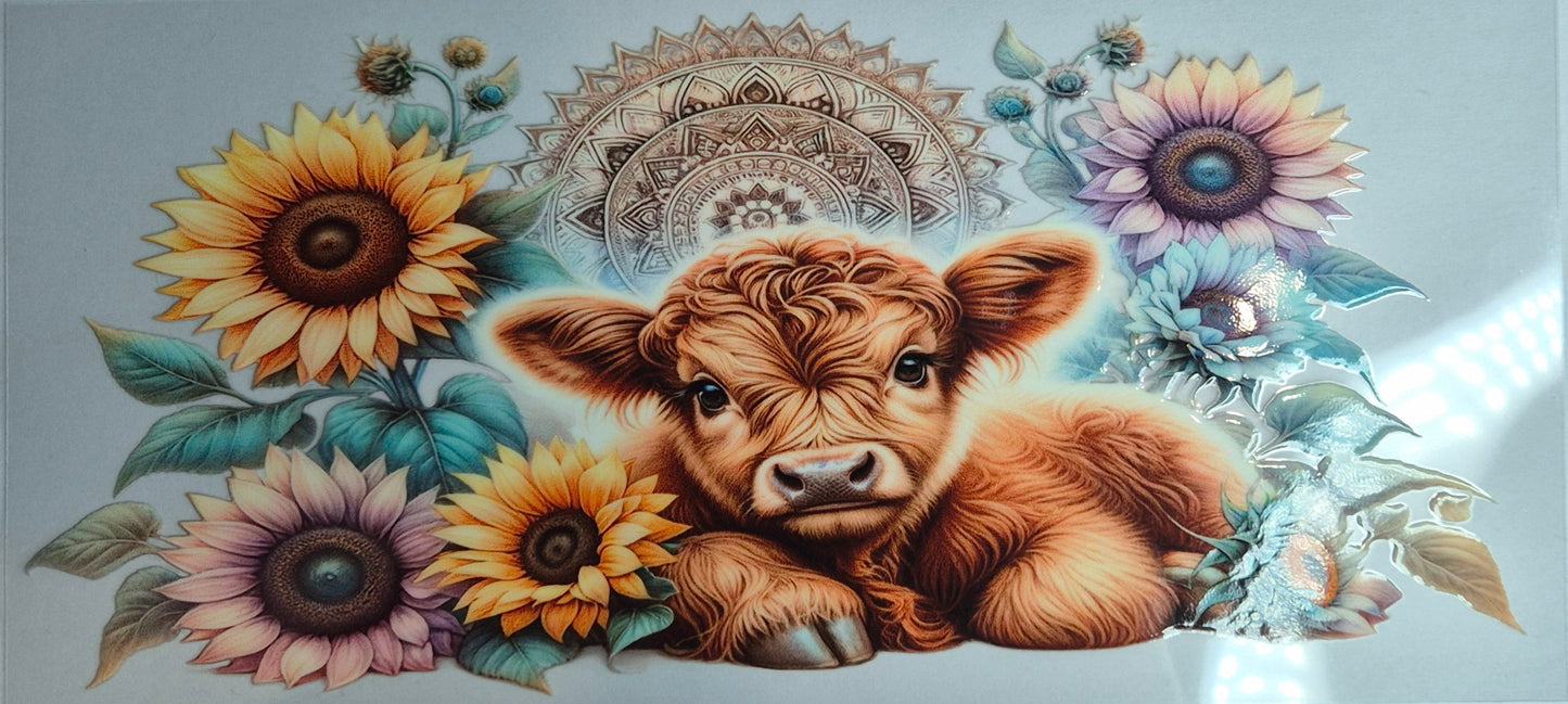 Highland Cow 3 Country