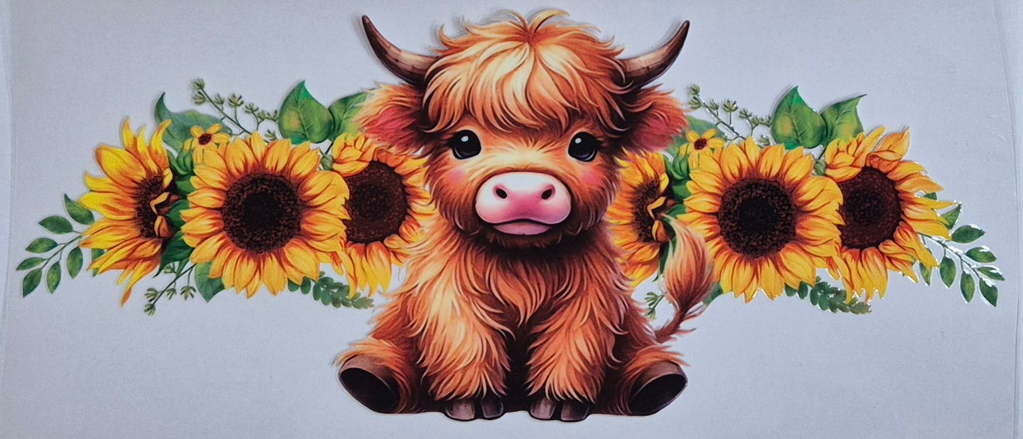 Highland Cow 24 Country