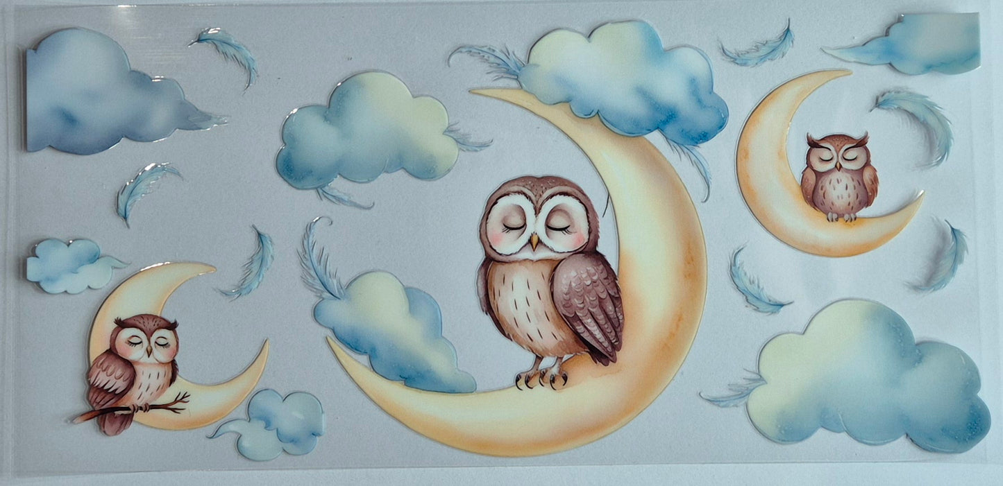 Sleeping Owl Moon Clouds Feathers Animal
