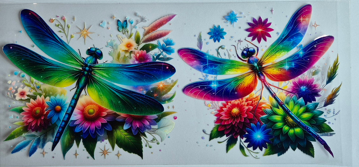 Dragonflies Rainbow