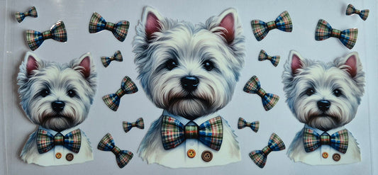 West Highland White Terrier Dog Animal