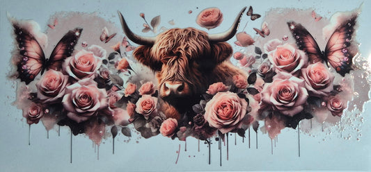 Highland Cow 5 Country