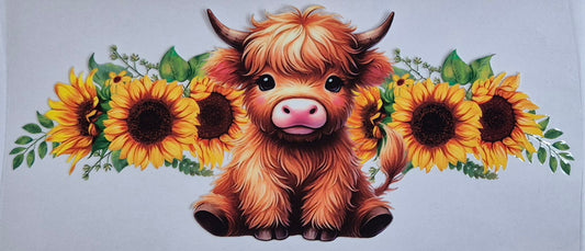 Highland Cow 24 Country