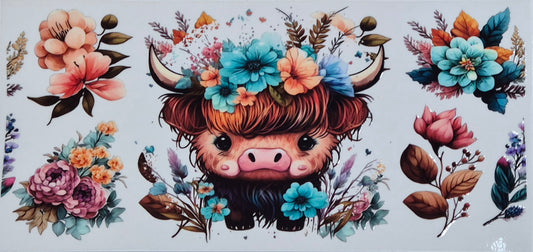 Highland Cow 25 Country