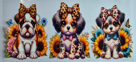 3 Dogs In Bows Animal