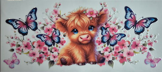 Highland Cow 22 Country