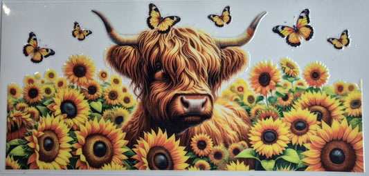 Highland Cow 8 Country
