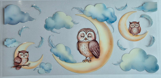 Sleeping Owl Moon Clouds Feathers Animal