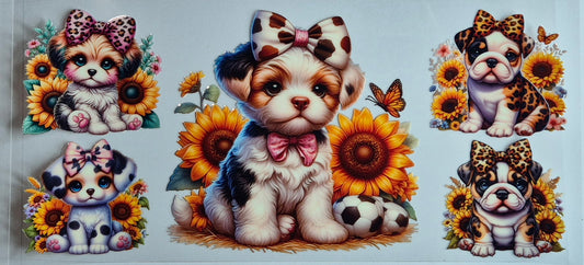 5 Dogs In Bows Animals