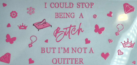I Could Stop Being A Bitch Quote