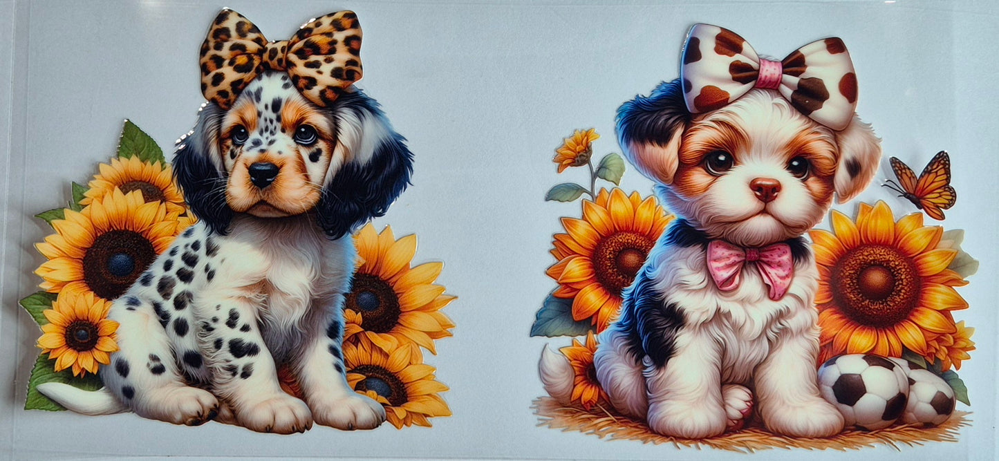 2 Dogs In Bows