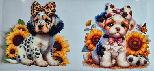 2 Dogs In Bows