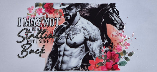 Cowboy 3 Country