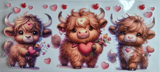 Highland Cow 15 Country